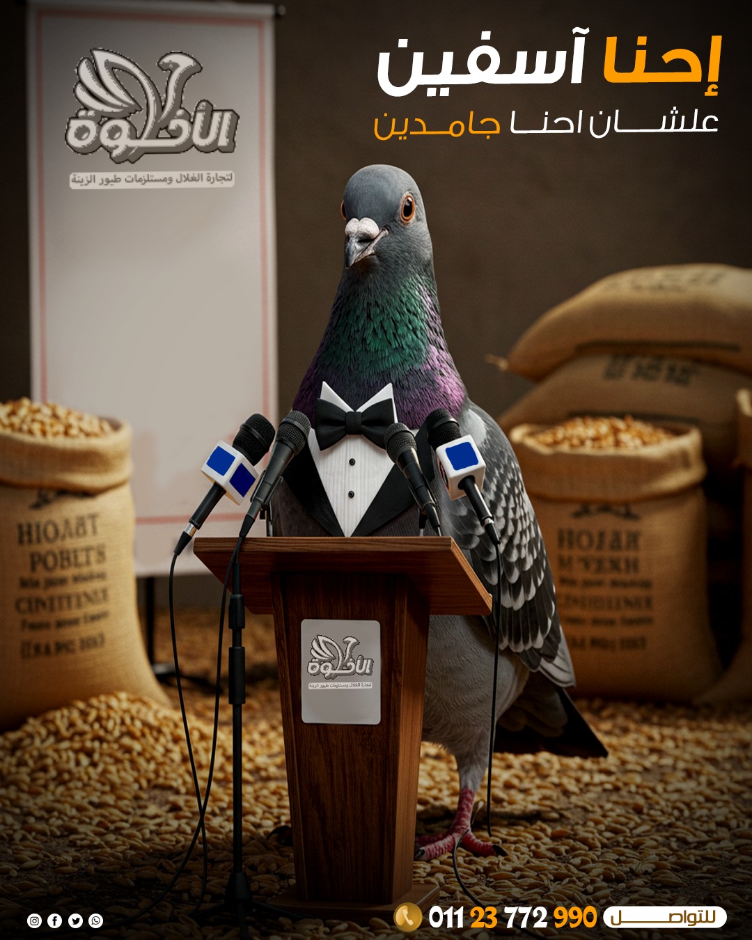 شركة الاخوة